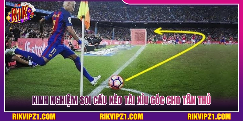 Mẹo nhận định kèo tài xỉu góc hiệu quả cho tân cược thủ 